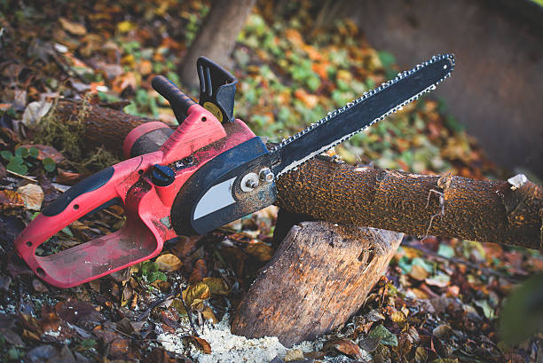 Mulching Services in Estes Park, CO